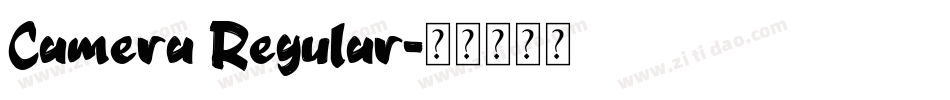 Camera Regular字体转换